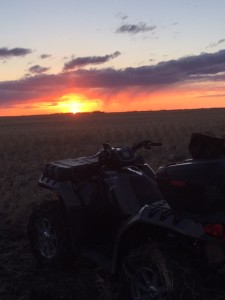 quadsunset